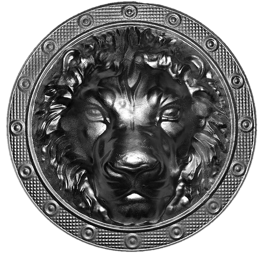 6302 Лев д=260*75*11 мм